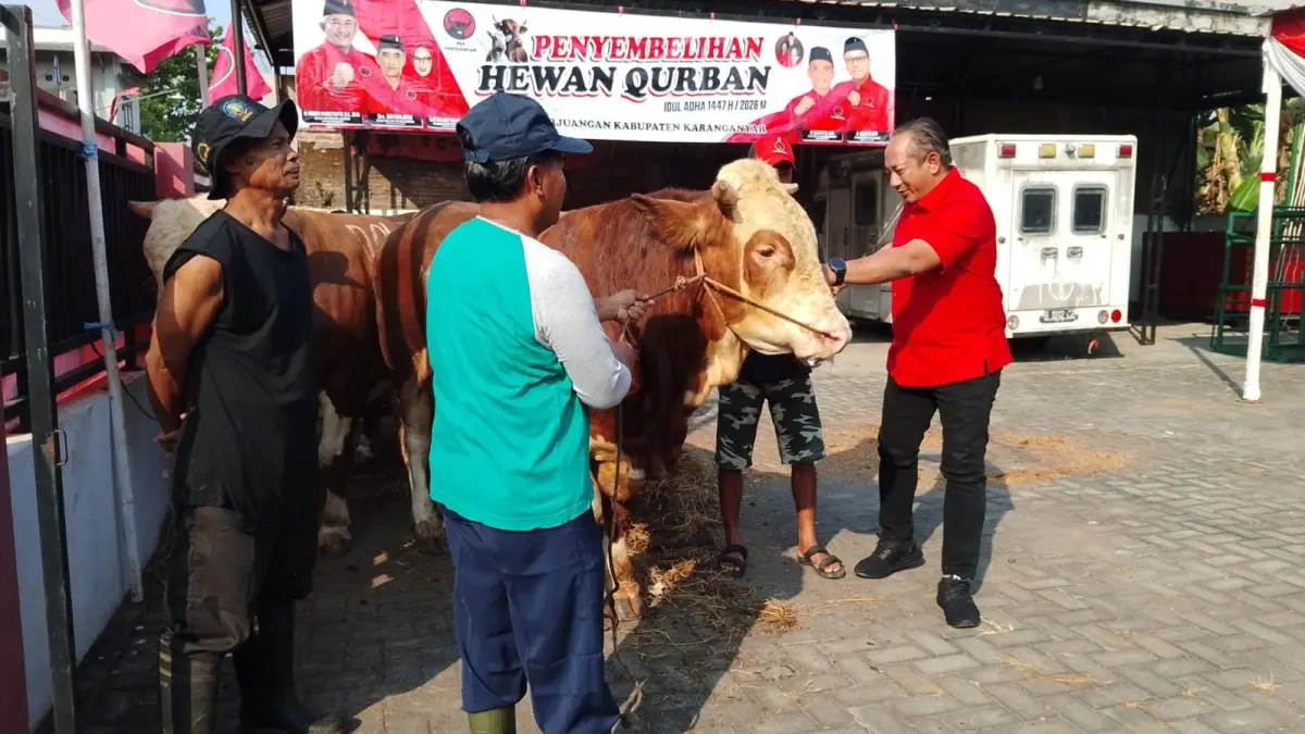 Ketua DPC PDIP Karanganyar Rober Christanto melaksanakan penyembelihan hewan kurban di kantor DPC, Kamis (28/5/2026). (Rudi Hartono/Radar Solo)