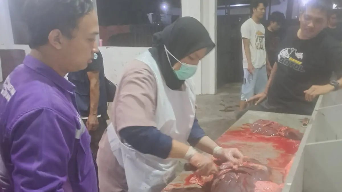 Jasa penyembelihan kurban di Rumah Potong Hewan (RPH) Sukoharjo saat Idul Adha 1447 Hijriah. (IWAN KAWUL/RADAR SOLO) 