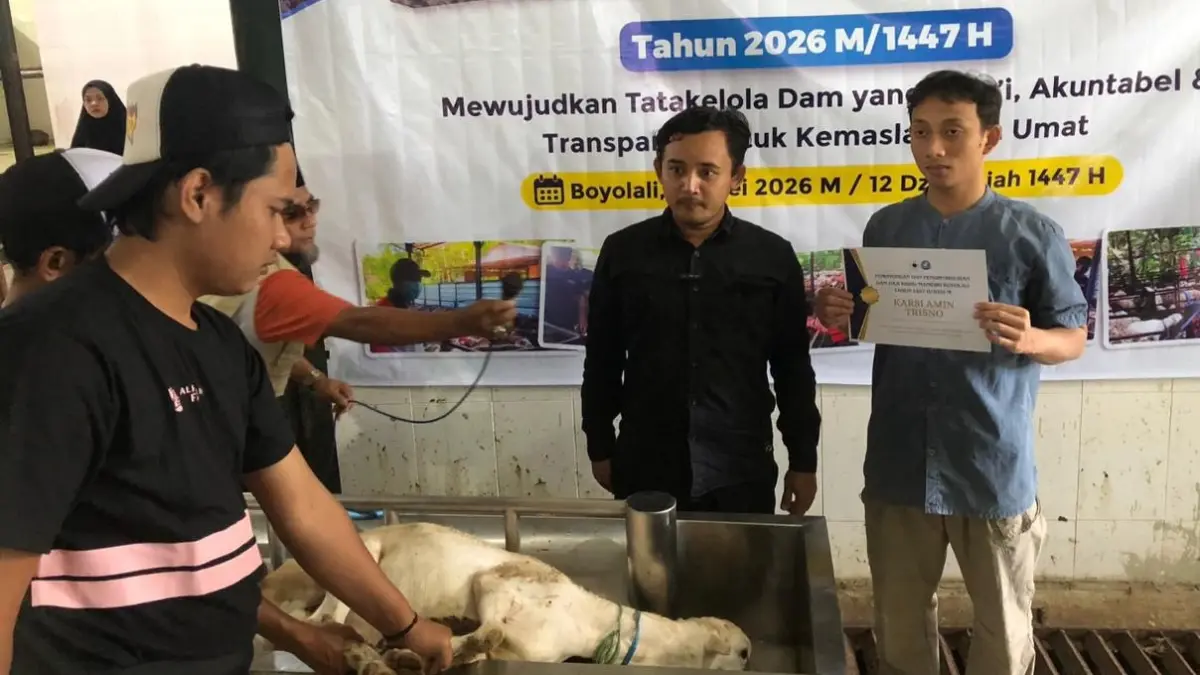 Rumah Pemotongan Hewan Ampel Boyolali dijadikan pusat penyembelihan hewan dam dari para jemaah haji, Jumat (29/5/2026). (ABDUL KHOFID/RADAR SOLO)