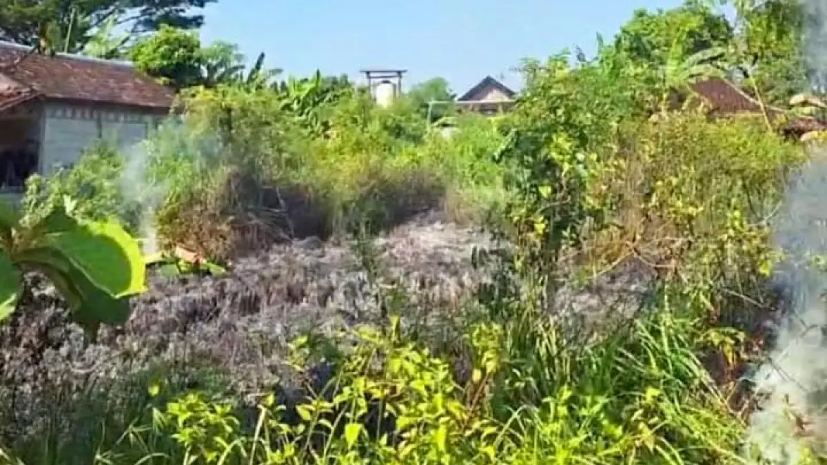 Ilustrasi kebakaran lahan di Desa Dalangan, Kecamatan Tawangsari, Sukoharjo. (IWAN KAWUL/RADAR SOLO)