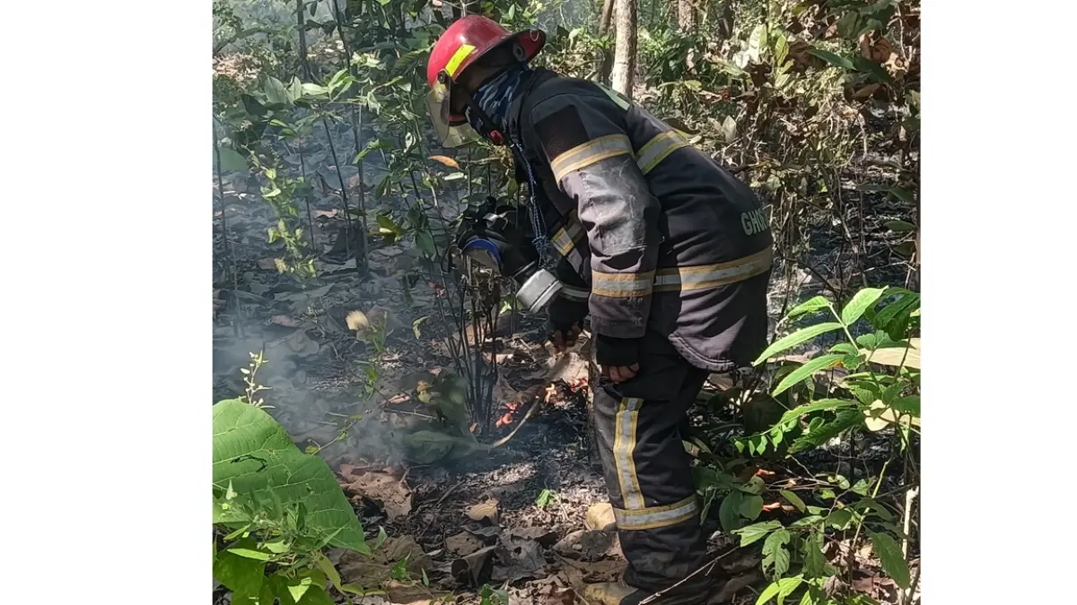 Petugas Damkar Sukoharjo padamkan api di lahan kosong di Desa Watubonang, Tawangsari, Senin (8/6). (DOK. DAMKAR SUKOHARJO)