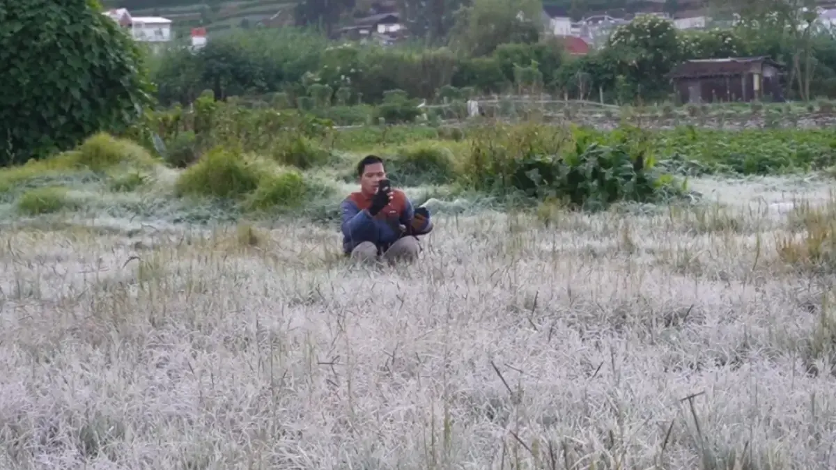 Fenomena embun upas di kawasan wisata Dieng, Wonosobo, Jawa Tengah. (Istimewa) 