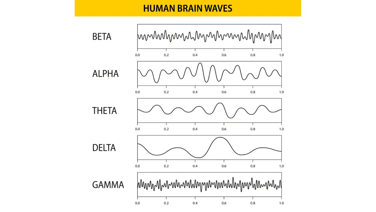 Ilustrasi gelombang otak beta, alfa, theta, delta, gamma. (DOK.GETTY IMAGES)