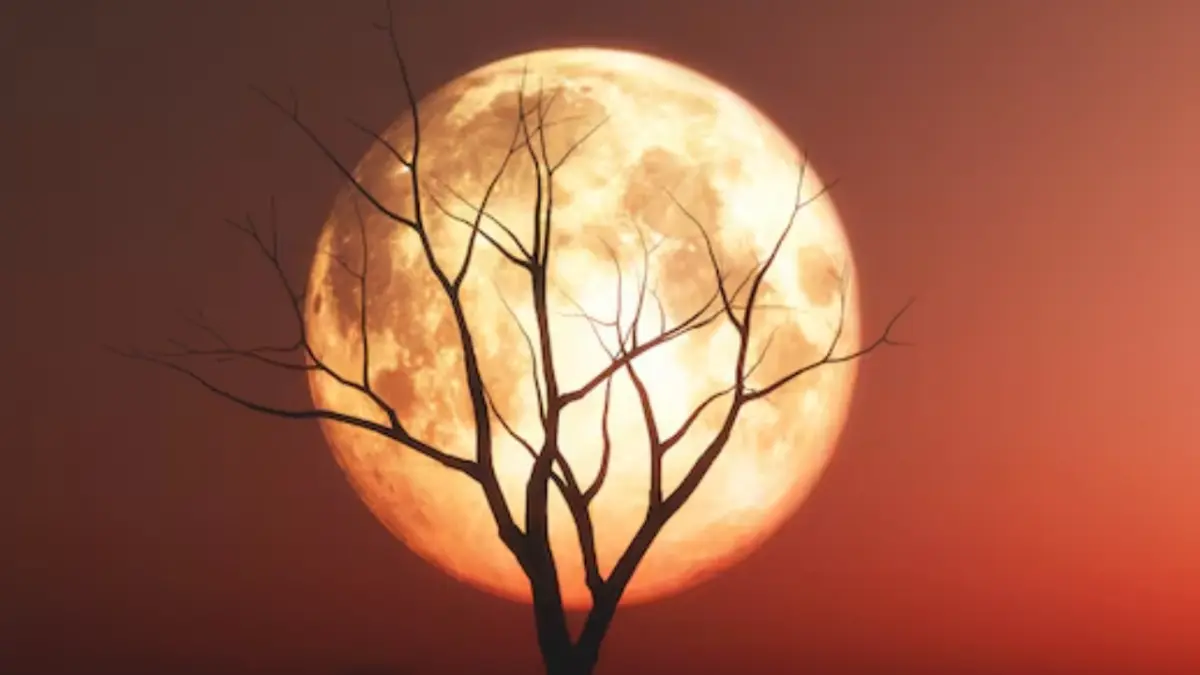 Memotret Strawberry Moon dengan sempurna. (Freepik)