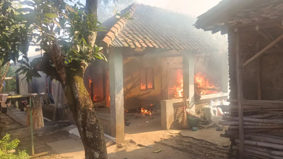 Si jago merah mengamuk di sebuah rumah kontrakan di Kecamatan Mojolaban, Sukoharjo, .(Dok. Damkar Sukoharjo) 