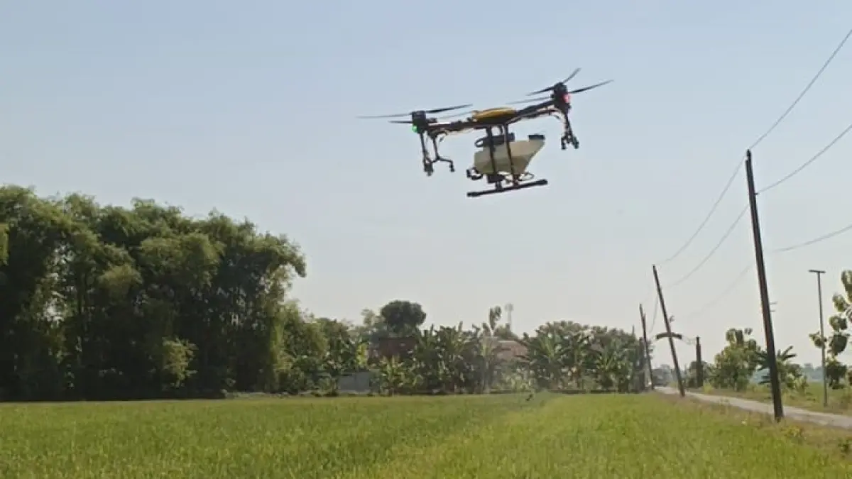 Distankan Sukoharjo terjunkan drone untuk semprot hama wereng di Desa Tawang, Weru, Kamis (2/7). (IWAN KAWUL/RADAR SOLO)