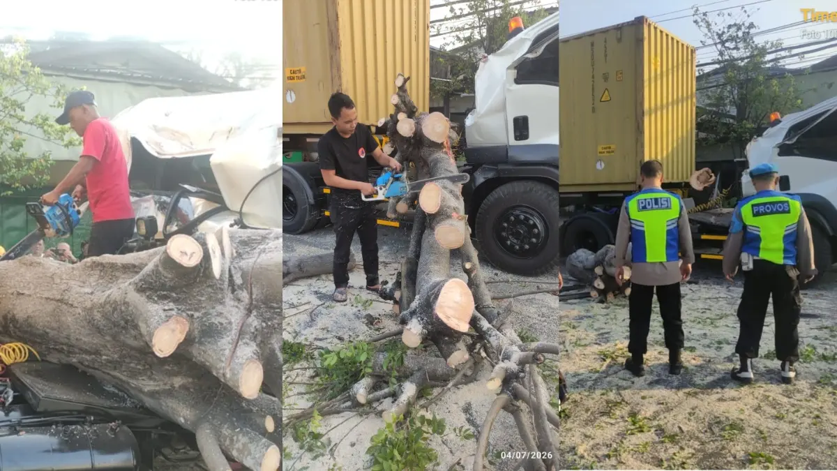 Truk Kontainer Tertimpa Pohon Tumbang di Jalan Semarang-Solo Km 14, Sempat Tutup Akses Jalan (Dok.BPBD Boyolali)