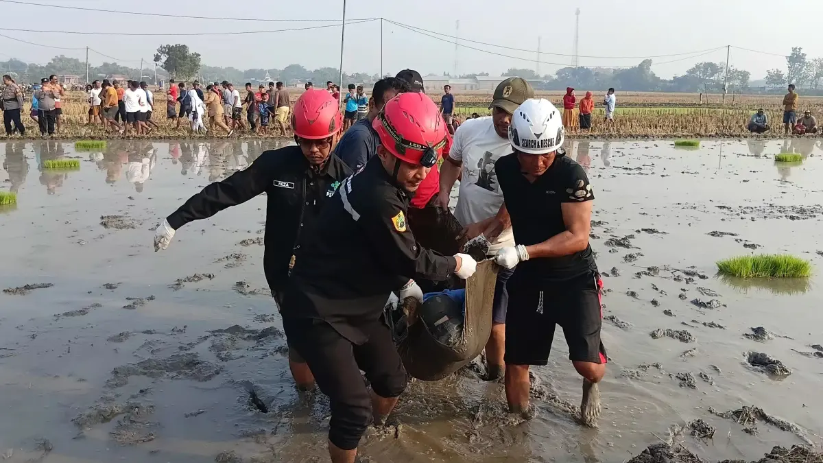 Evakuasi jasad petani di persawahan Patihan, Desa Taraman, Kecamatan Sidoharjo, Sragen, Senin (6/7/2026) pagi. (Ahmad Khairudin/Radar Solo)