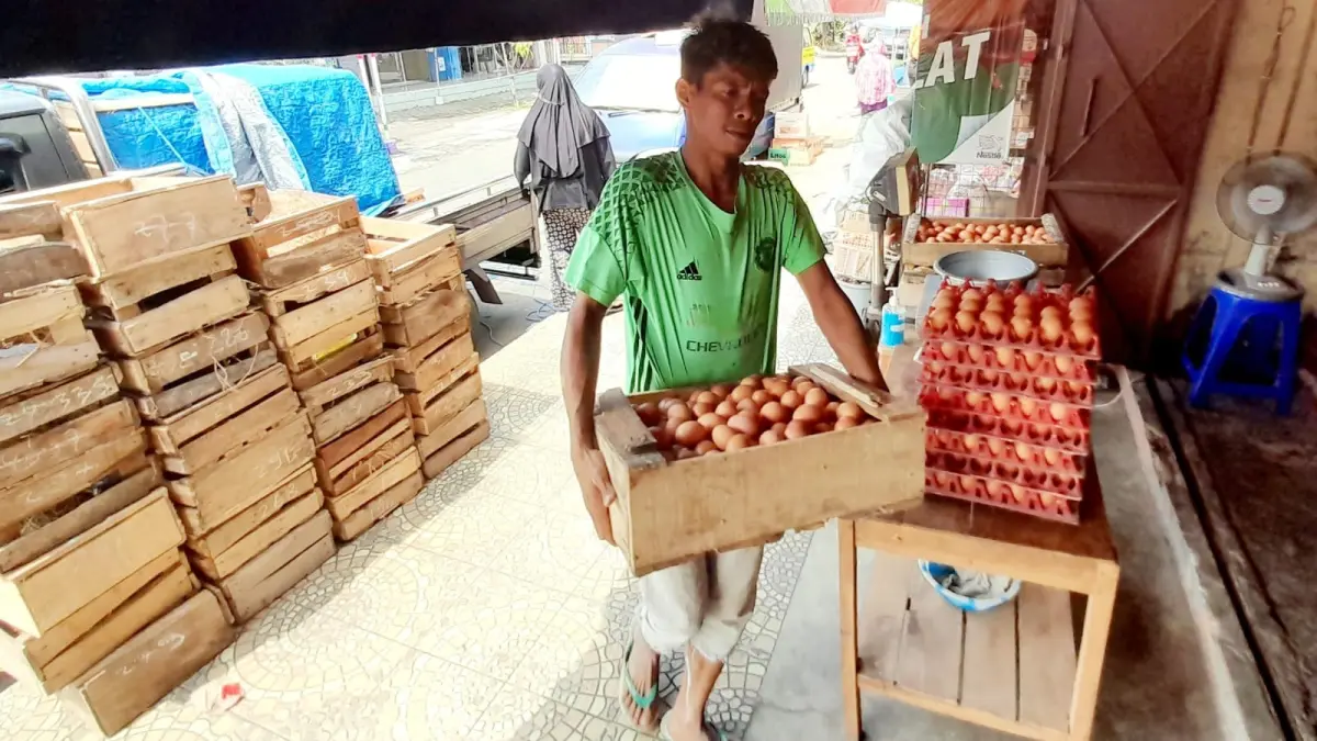 Peternak ayam petelur di Jumantono, Karanganyar menyuplai telur ke pedagang pasar. (Rudi Hartono/Radar Solo)