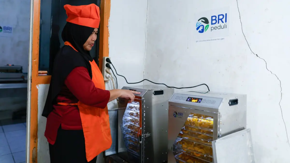 Program AURA BRI Peduli bantu usaha produksi turunan pala Kelompok Wanita Tani (KWT) Bina Tani Mysari Pala.