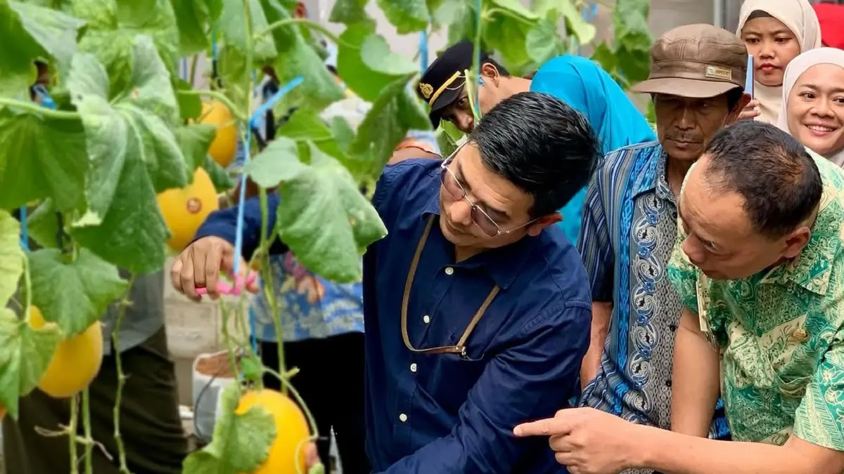 Lewat Pertanian Melon Modern, Karang Taruna Winong Boyolali Berhasil Kembangkan Melon Hidroponik  (Dok. Karang Taruna Desa Winong)