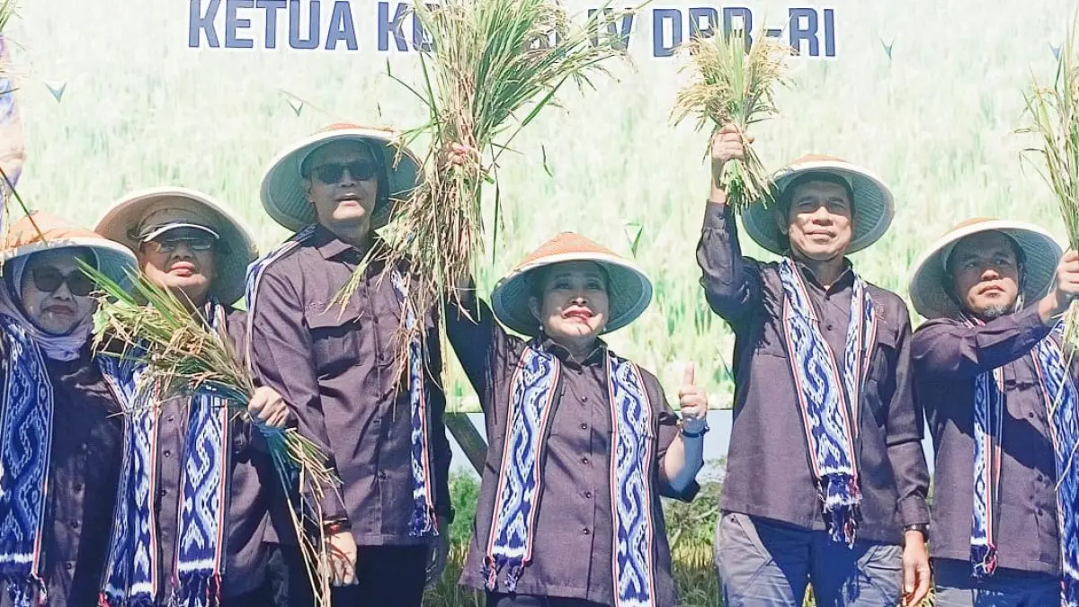 Ketua Komisi IV DPR RI, Ibu Titiek Soeharto bersama Wakil Ketua Komisi IV DPR RI, Dr. Abdul Kharis Almasyhari, bersama tujuh anggota Komisi IV DPR RI hadiri Panen Raya Padi seluas 30 hektare di Desa Wonosari, Kecamatan Trucuk, Kabupaten Klaten, Jumat (10/7/2026).