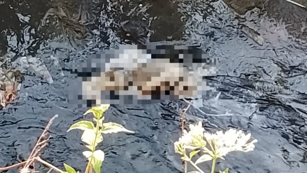 Sesosok mayat yang diduga bayi di aliran sungai dekat SDN Kwarasan 3, Sabtu (11/7). 