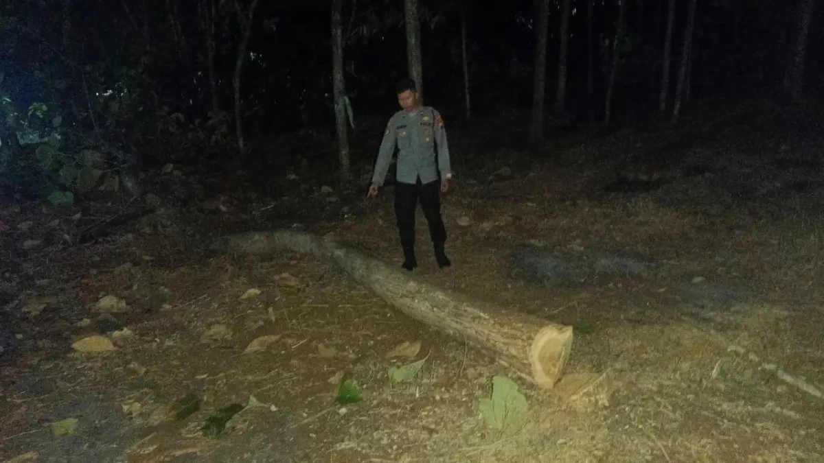 Lokasi TS warga Lingkungan Mirahan RT 02 RW 02, Kelurahan Tanjungsari, Kecamatan Jatisrono terjatuh kemudian meninggal dunia,  Kamis (16/7/2026). (ISTIMEWA) 