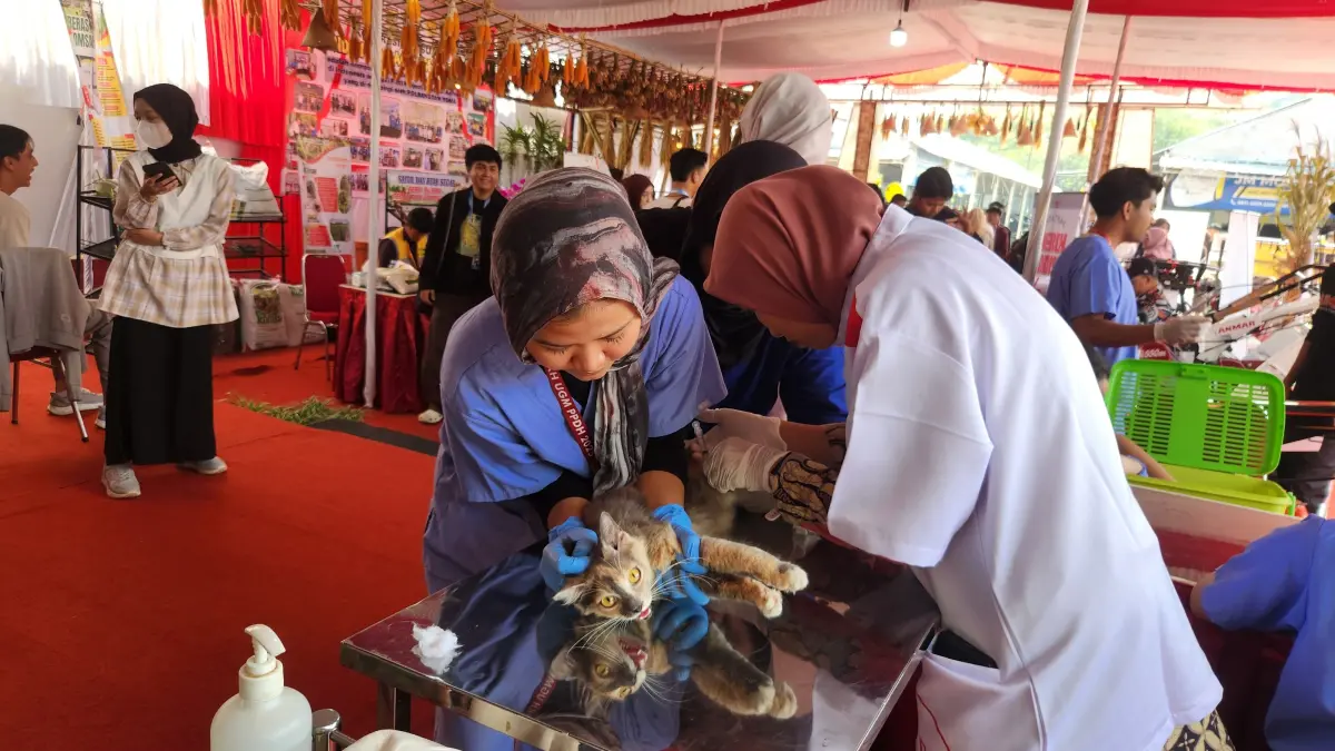 Puluhan cat lover serbu kantor Distankan Sukoharjo untuk suntik vaksin rabies bagi kucing peliharaannya, Jumat (17/7). (Iwan Kawul/Radar Solo)