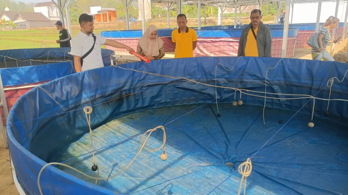 Kolam yang digunakan pengurus KDKMP Wonosamodro Boyolali untuk memelihara ribuan ekor ikan lele yang kemudian mati diduga akibat diracun. (DOK.POLSEK WONOSEGORO)