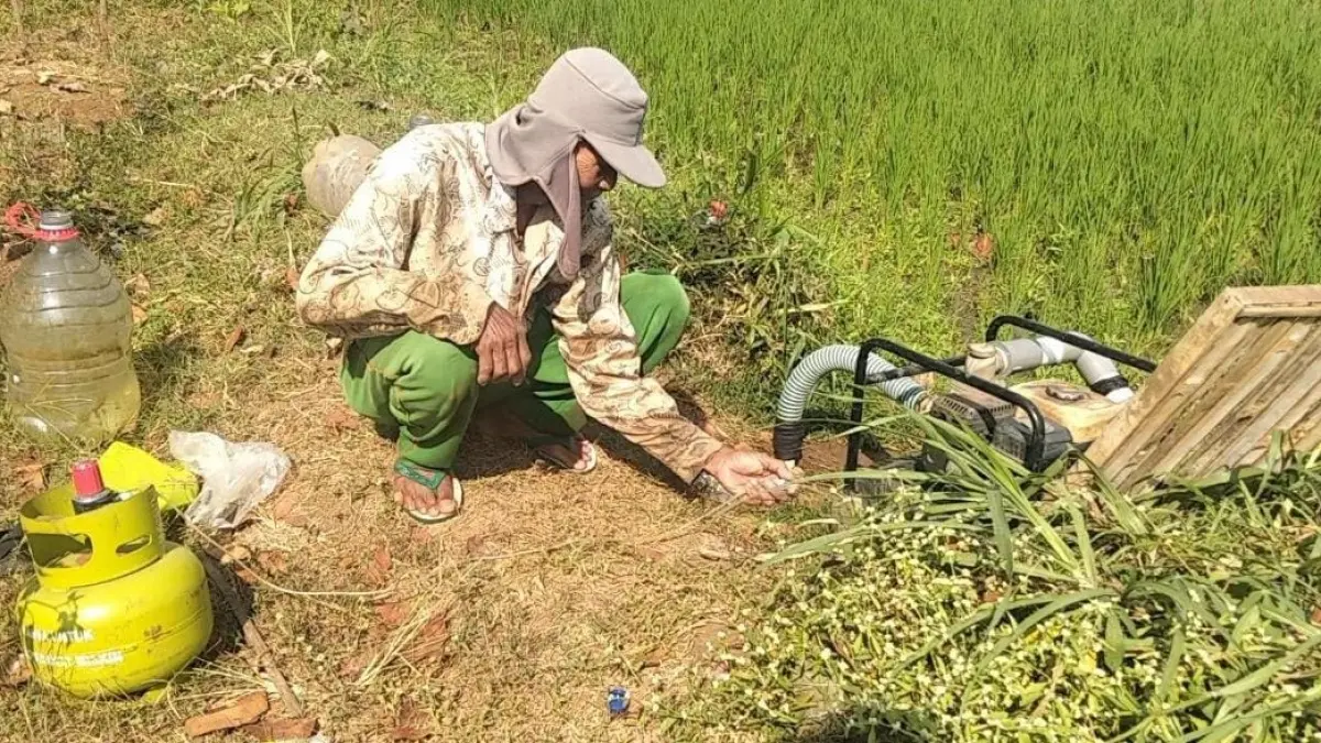 Petani di Andong Boyolali mengandalkan mesin disel untuk mengairi sawah. (ISTIMEWA)