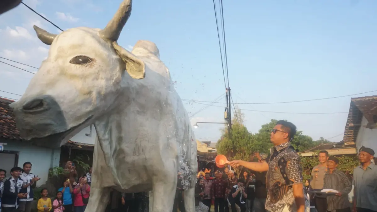 Prosesi sakral guyangan lembu suralaya dilakukan Bupati Klaten Hamenang Wajar Ismoyo, Sabtu (18/7/2026). (Angga Purenda/Radar Solo)
