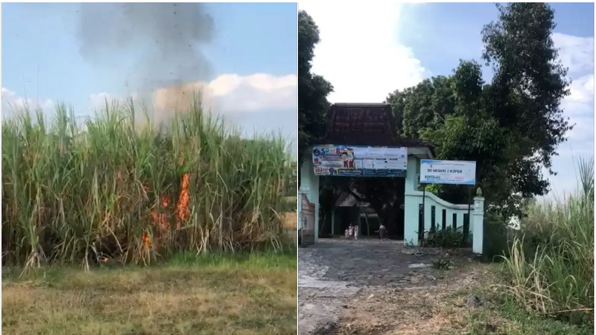 Kebakaran lahan tebu di Dukuh Gatak, Desa Kopen, Kecamatan Teras, Boyolali, Senin (20/7/2026) siang. Titik api berdekatan dengan bangunan SD Negeri (SDN) 3 Kopen. (TANGKAPAN LAYAR) 