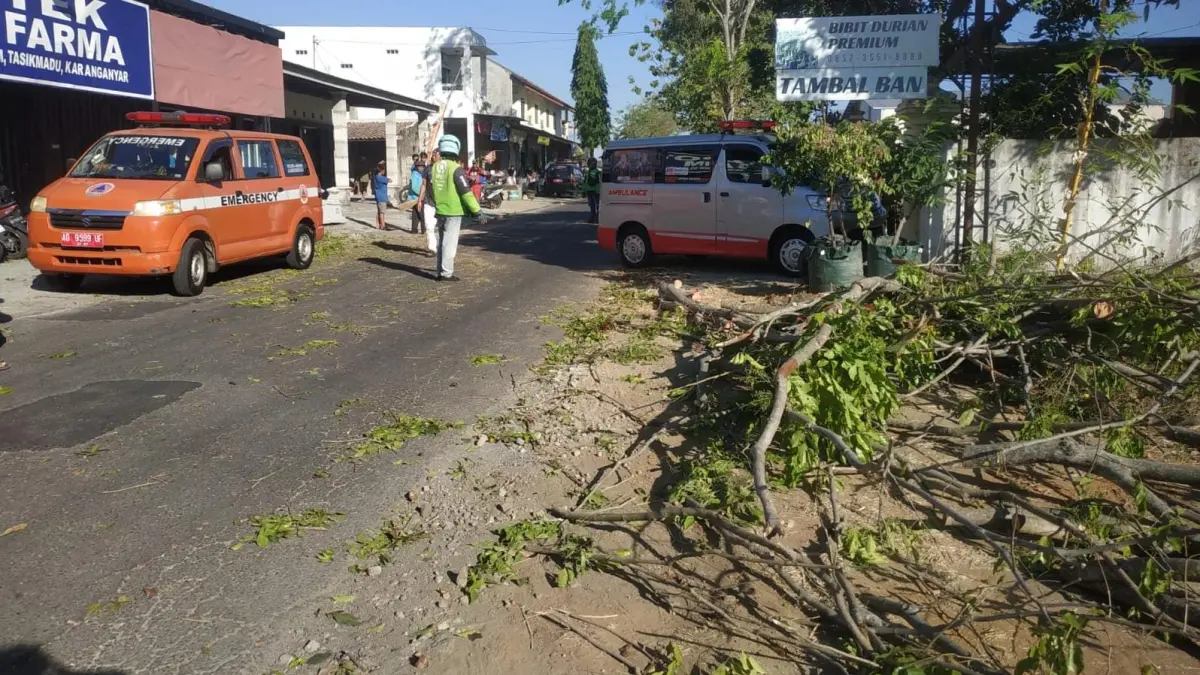 Pohon di Jalan Gaum, Desa Gaum, Kecamatan Tasikmadu, Kabupaten Karanganyar yang tumbang pada Rabu (22/7/2026) siang. (Rudi Hartono/Radar Solo)