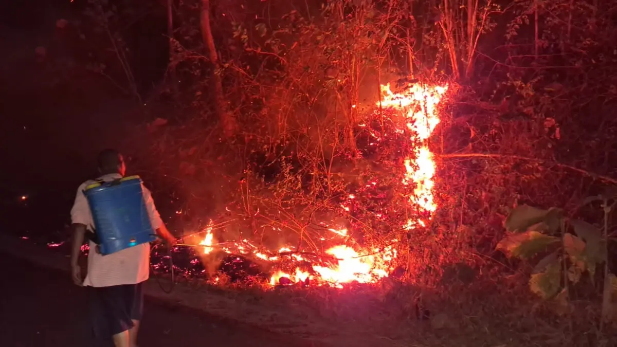 Proses pemadaman kebakaran lahan dengan alat sederhana di Dusun Sumberejo, Desa Kunden, Kecamatan Bulu, Sukoharjo, Selasa sore (21/7). (Dok. BPBD Sukoharjo)