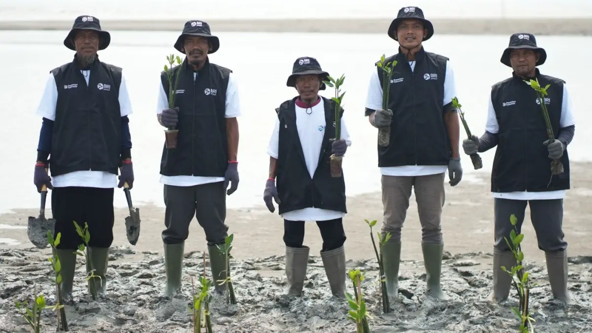 Program TJSL PT Bank Rakyat Indonesia (Persero) Tbk melalui aksi penanaman 24 ribu pohon mangrove di kawasan pesisir Dusun Sompek, Desa Tanjungpakis, Kecamatan Pakisjaya, Kabupaten Karawang, Jawa Barat. (DOK.BRI)