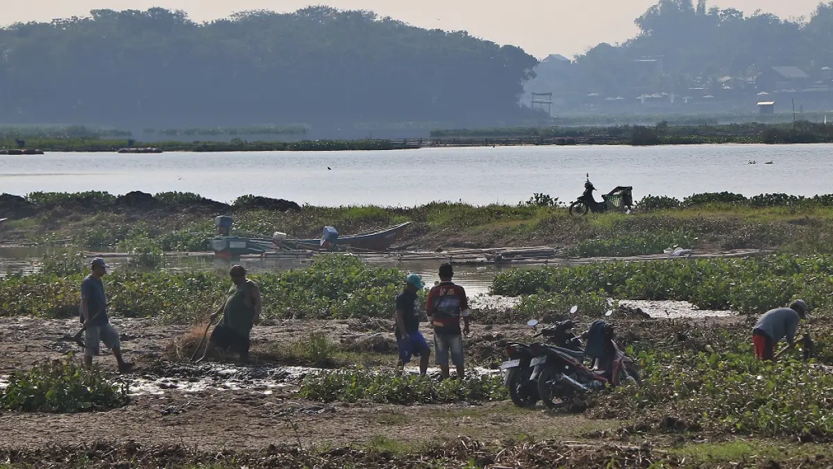 Bercocok tanam di kawasan Waduk Cengklik, Boyolali memiliki keunggulan tersendiri dibandingkan dengan sawah konvensional. (ARIEF BUDIMAN/RADAR SOLO)
