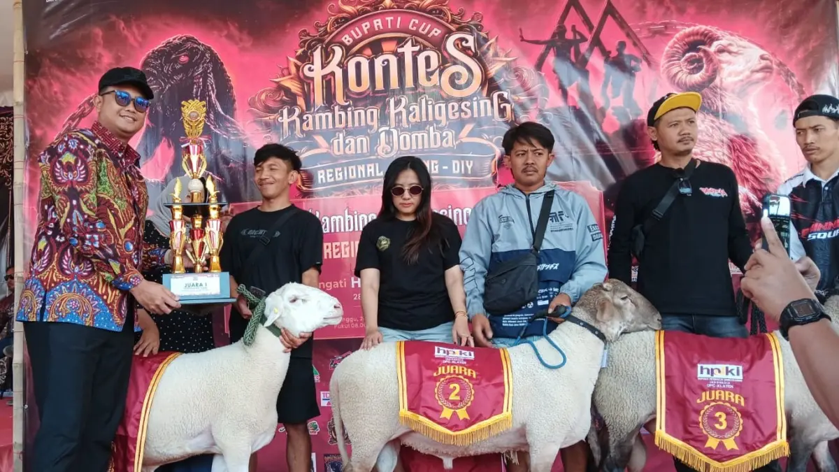 Bupati Klaten Hamenang Wajar Ismoyo saat menyerahkan piala kepada para peternak yang meraih juara dalam kontes kambing kaligesing dan domba di Taman Nyi Ageng Rakit, Rowo Jombor, Krakitan, Bayat, Klaten, Minggu (26/7/2026). (Angga Purenda/Radar Solo)