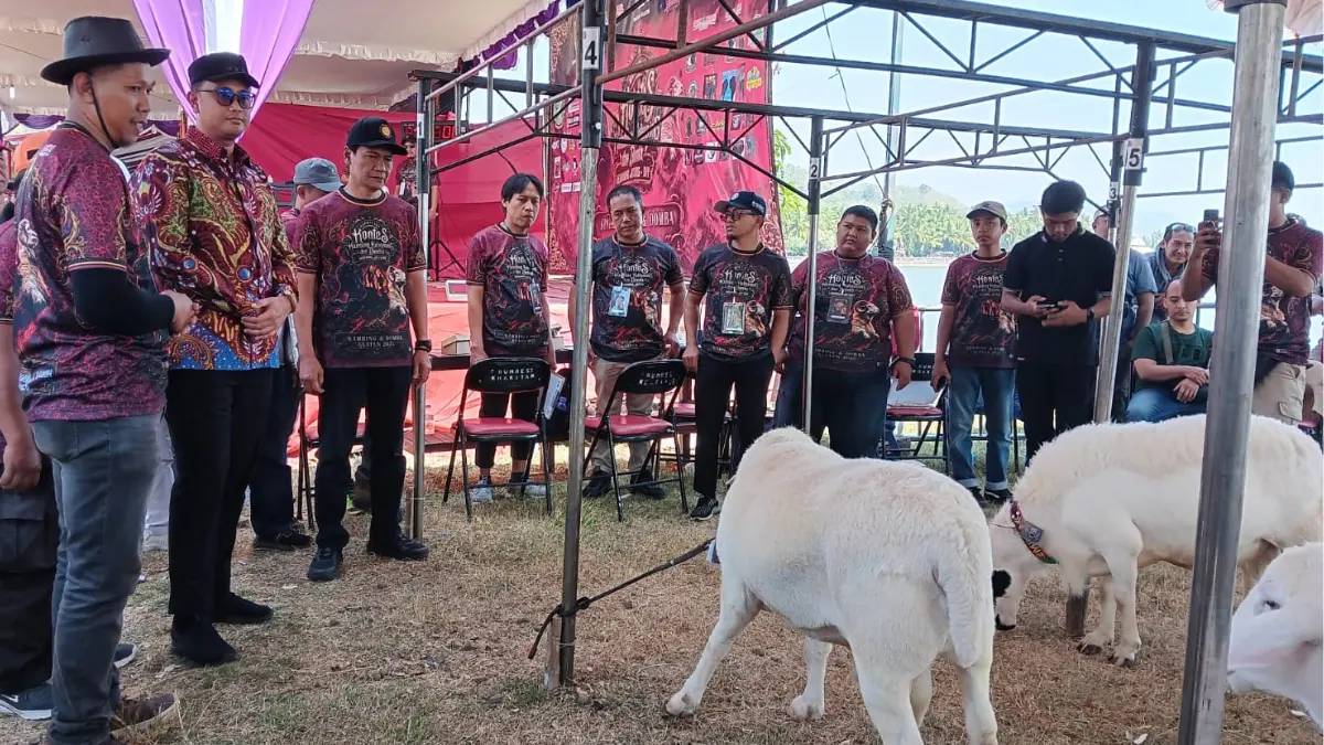Kontes Kambing Kaligesing dan Domba di Taman Nyi Ageng Rakit, Rowo Jombor, Krakitan, Bayat, Klaten, Minggu (26/7/2026. (ANGGA PURENDA/RADAR SOLO)