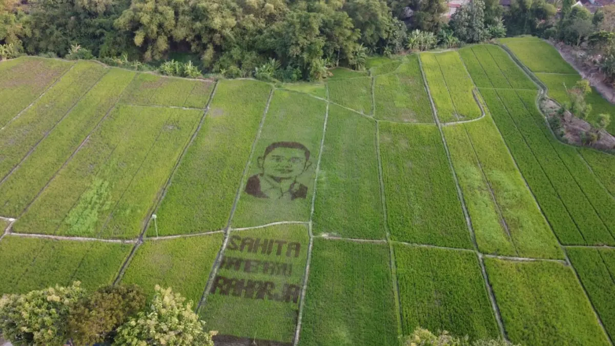 Gambar Bupati Klaten Hamenang Wajar Ismoyo lengkap dengan tulisan tema Hari Jadi Klaten, Sahita Hamemayu Raharja terlihat di lahan persawahan Desa/Kecamatan Juwiring, Klaten, Senin (28/7/2026). (DOK.PRIBADI)