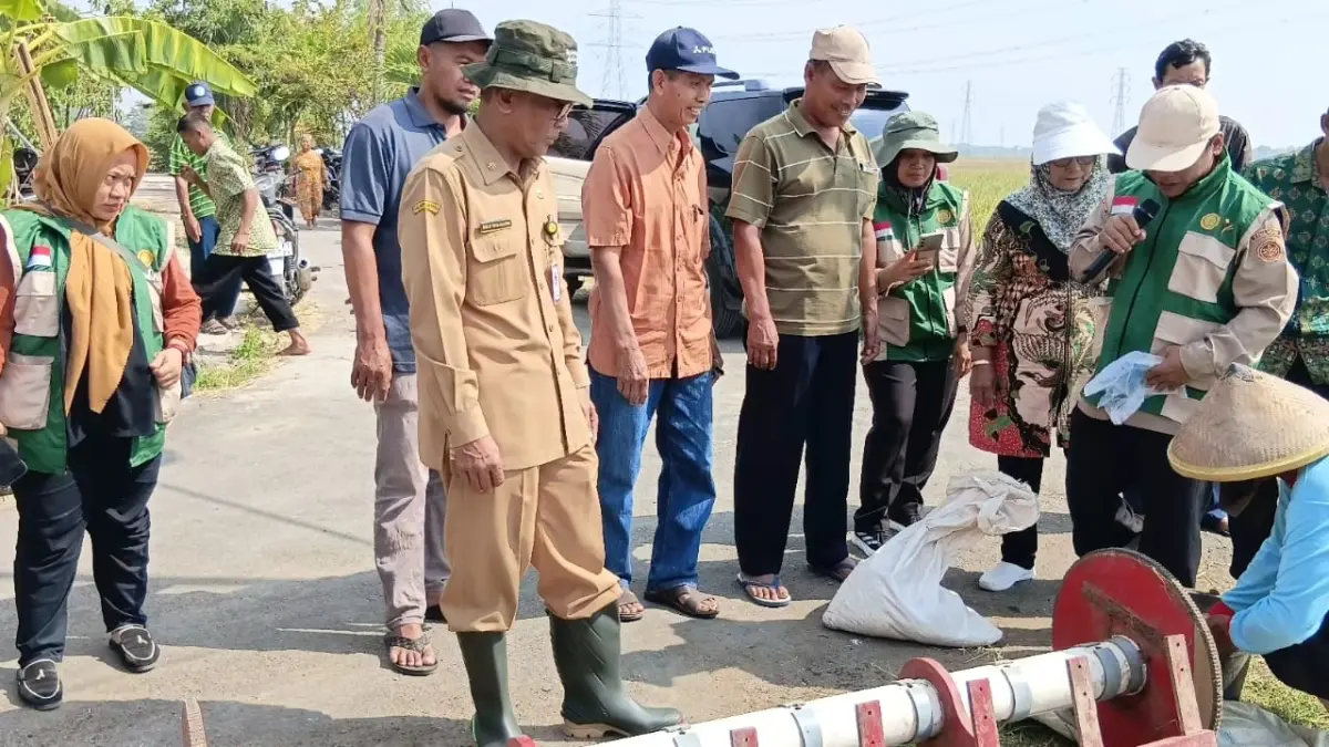 Kepala Distankan Sukoharjo Bagas Windaryatno bersama petani saat panen padi, belum lama ini. (IWAN KAWUL/RADAR SOLO)