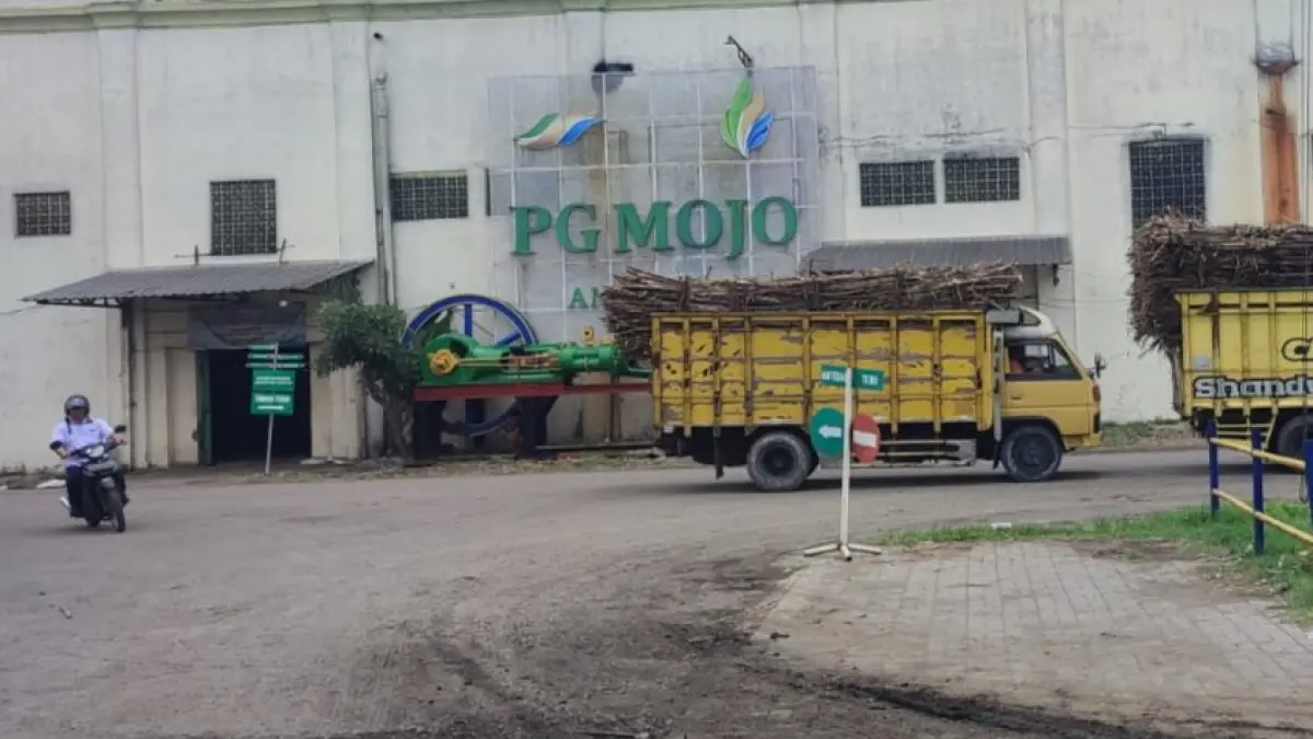 Pabrik Gula (PG) Mojo Sragen masih terus memproduksi gula untuk memenuhi kebutuhan lokal. (Ahmad Khairudin/Radar Solo)