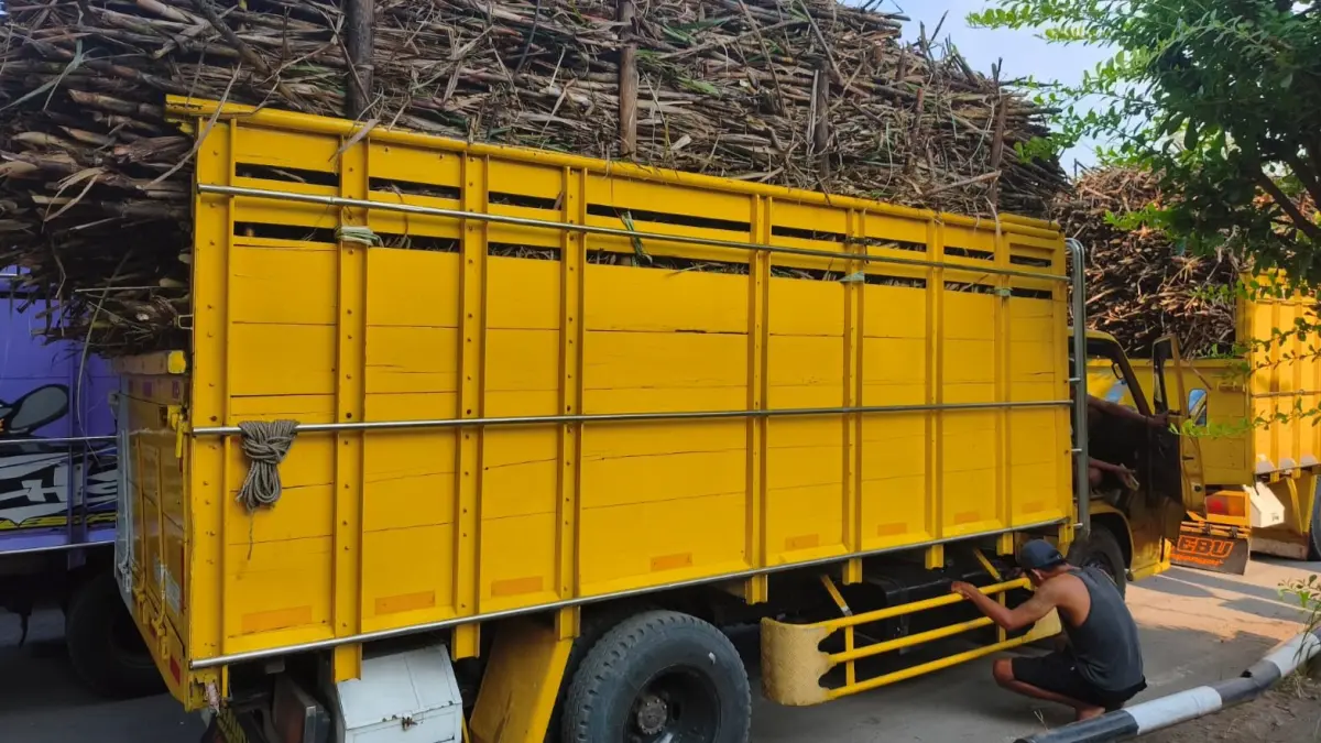 Antrean truk pembawa tebu sebelum masuk ke Pabrik Gula (PG) Mojo Sragen. (Ahmad Khairudin/Radar Solo)