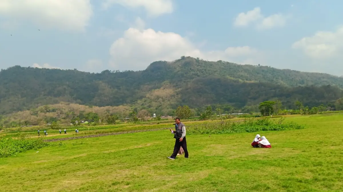 Pengunjung di lahan persawahan milik petani di Sengon, Prambanan, Klaten, Rabu (29/7/2026). (Angga Purenda/Radar Solo)
