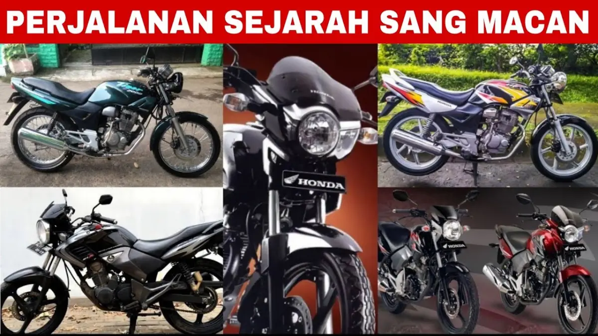 Sejarah Honda Tiger, Kisah Macan Legendaris Honda dengan Perjalanan Panjang Selama Dua Dekade (Youtube @Ajixion)