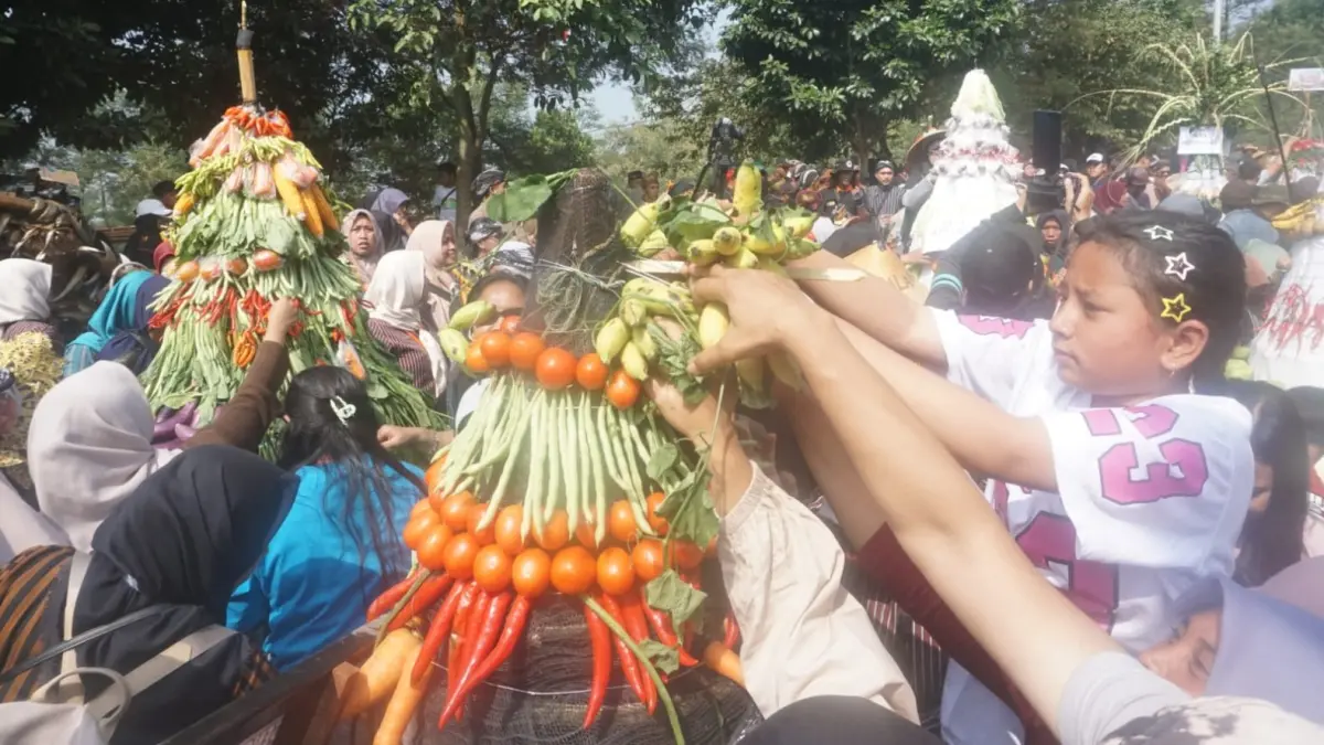 Warga berebut gunungan hasil bumi yang sebelumnya dikirab dalam Festival Budaya Metri Bumi Merapi di Desa Balerante, Kecamatan Kemalang, Klaten, Minggu (2/8/2026). (ANGGA PURENDA/RADAR SOLO)