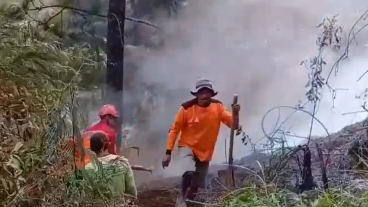 Kebakaran hutan Gunung Lawu kawasan Hutan Lindung (HL) Petak 12-1 RPH Tambak, BKPH Lawu Utara, KKPH Surakarta pada Selasa sore (4/8/2026). (Rudi Hartono/Radar Solo)