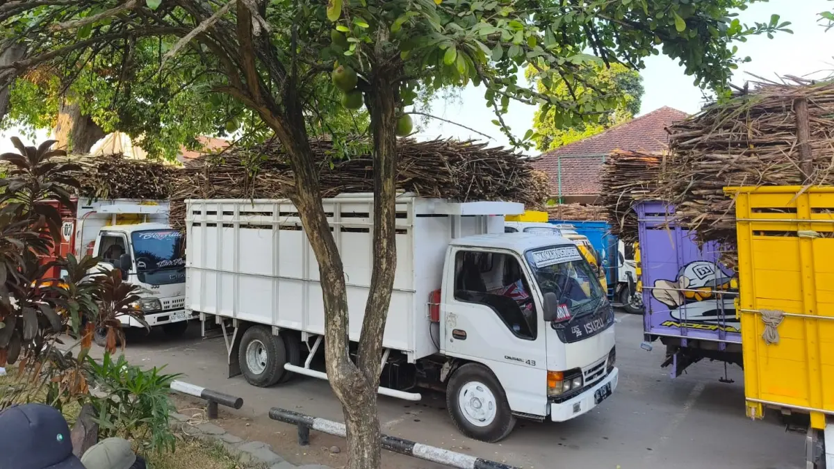 Antrean panjang truk pembawa tebu ke Pabrik Gula (PG) Mojo Sragen, Kamis (6/8/2026). (Ahmad Khairudin/Radar Solo)