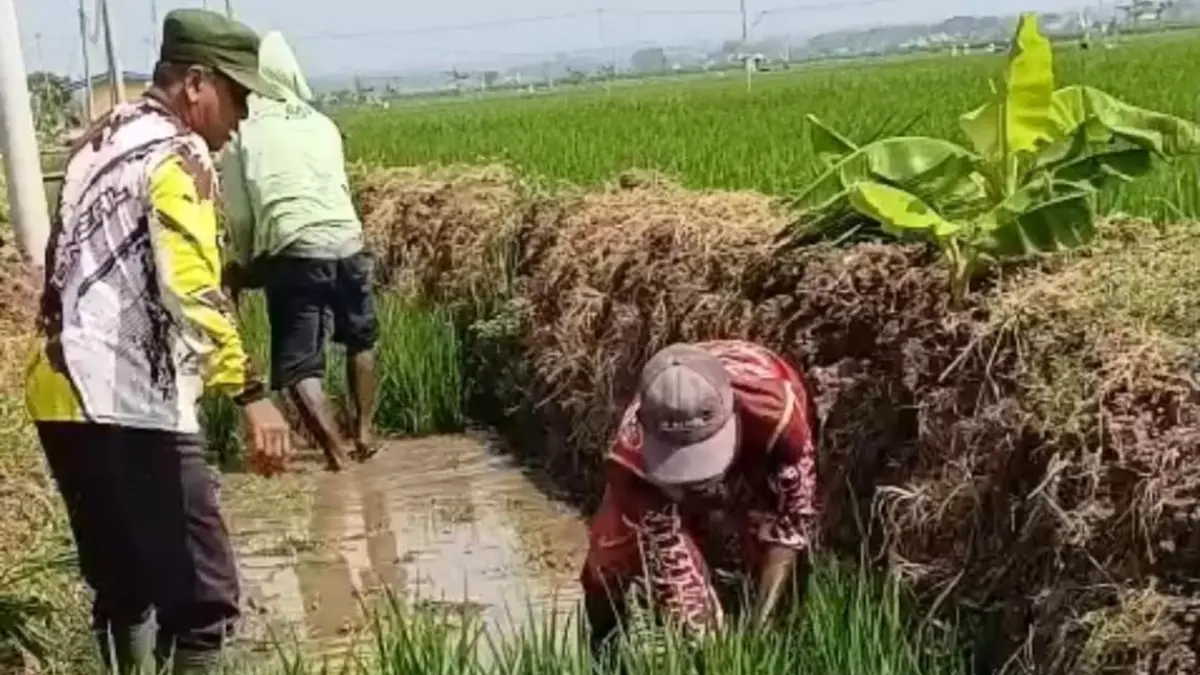 Saluran irigasi Desa Jono, Kecamatan Tanon, Sragen yang sempat jadi polemik dengan petani Desa Gawan. (Ahmad Khairudin/Radar Solo)