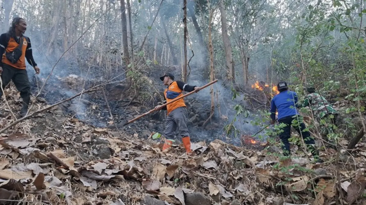 Tim gabungan memadamkan api di wilayah perbukitan Desa Kamal, Kecamatan Bulu, Sabtu (8/8). (Dok. Damkar Sukoharjo)