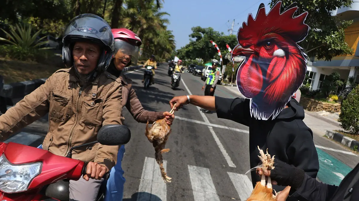 Puluhan peternak ayam petelur yang tergabung dalam Paguyuban Peternak Boyolali Bersatu bagikan ayam gratis kepada pengguna jalan kawasan kompleks Perkantoran Pemerintahan Terpadu Kabupaten Boyolali sebagai bentuk protes, Senin (10/8/2026). (ARIEF BUDIMAN/RADAR SOLO)