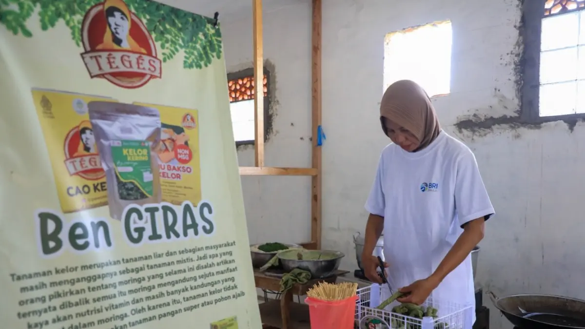Hari UMKM Nasional, BRI Peduli Perkuat UMKM Desa Brilian Hargobinangun Lewat Pendampingan