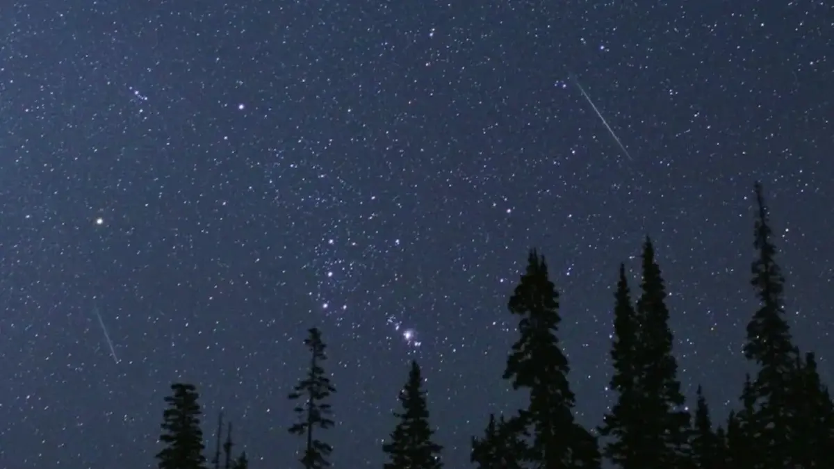 Hujan metero Perseid bisa disaksikan di langit Indonesia secara langsung. (nasa.gov)