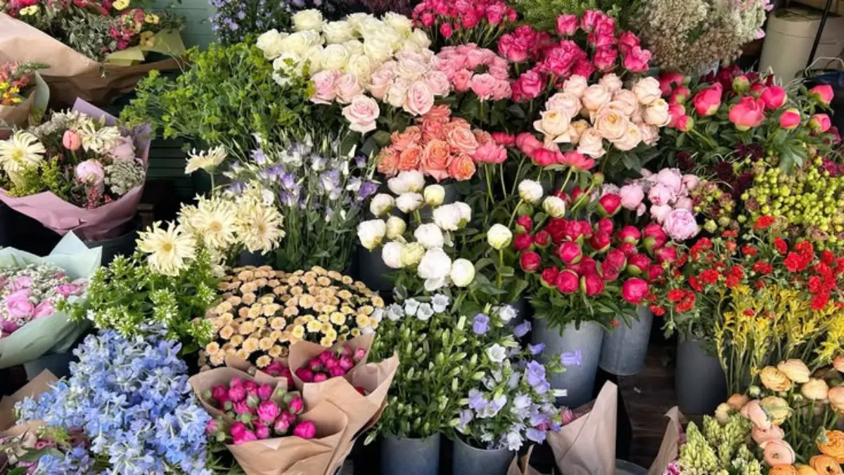 Jauh sebelum bunga menjadi hadiah romantis seperti sekarang, masyarakat Yunani dan Romawi kuno telah menghubungkan bunga dengan cinta, kecantikan, hingga hasrat.