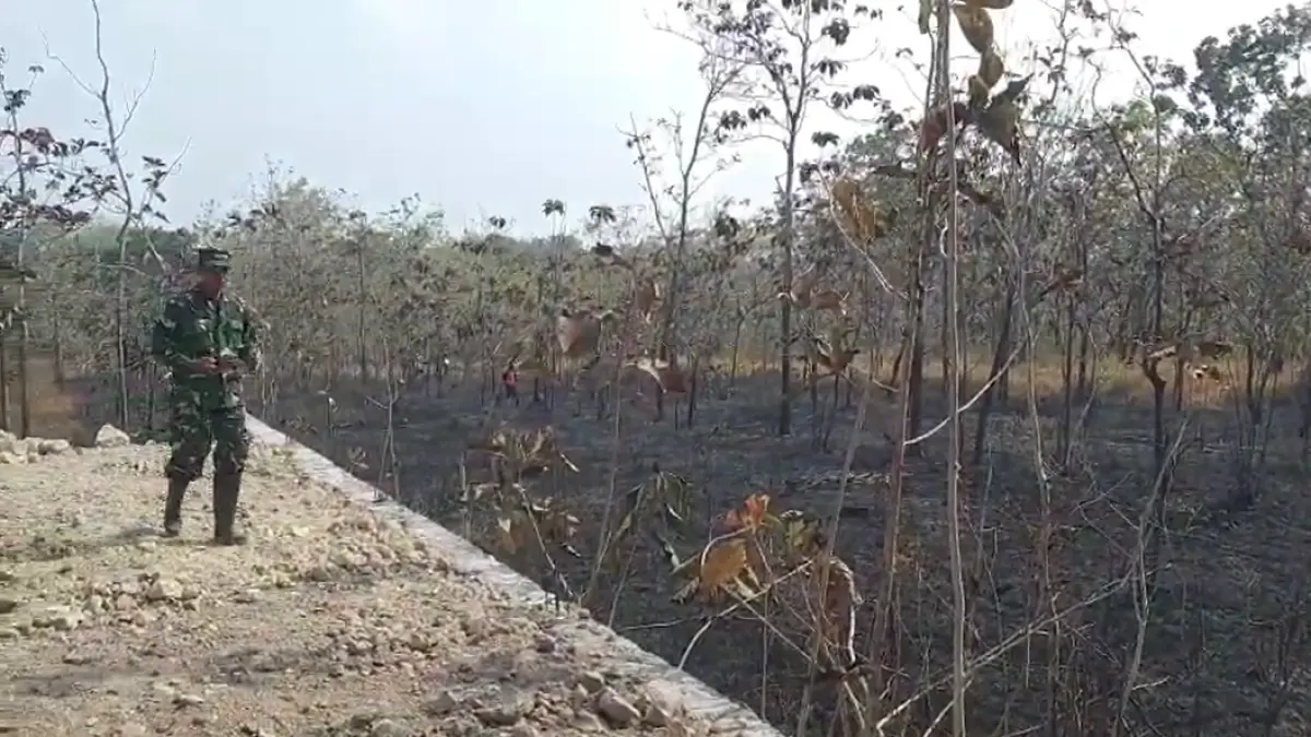 Kebakaran lahan kosong di dekat permukiman warga Desa Watubonang, Kecamatan Tawangsari, Sukoharjo, Rabu (19/8). (Dok. BPBD Sukoharjo)