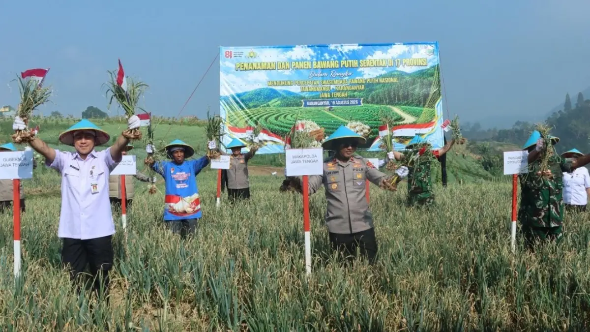 Wakapolda Jateng Brigjen Pol Dr. Latif Usman saat panen bawang di Tawangmangu, Rabu (19/8/2026). (Rudi Hartono/Radar Solo)
