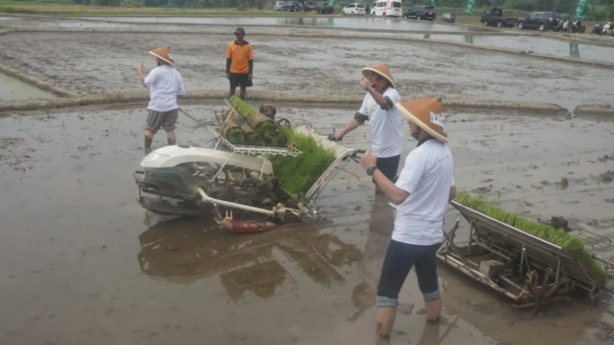Jajaran PP Muhammadiyah saat melakukan Kick Off Rojolele Reborn melalui penanaman serentak di Desa Gempol, Kecamatan Karanganom, Klaten, Kamis (20/8/2026). (Angga Purenda/Radar Solo)