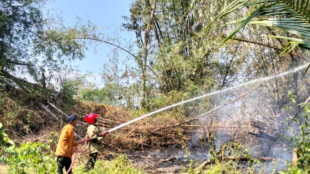 Damkar Wonogiri jinakkan api yang membakar rumpun bambu di belakang rumah lansia di Dusun Pulorejo, Desa Nambangan, Selogiri, Wonogiri, Minggu (23/8/2026). (DOK.DAMKAR BOYOLALI)