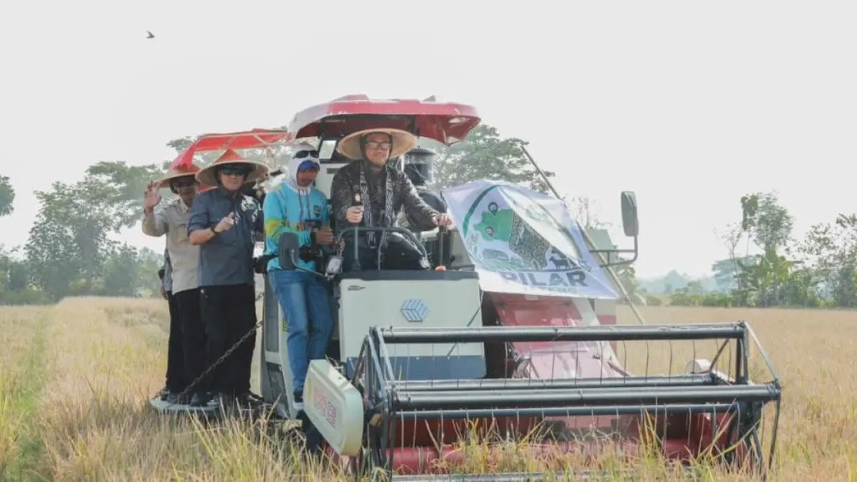 Panen Raya Padi dan Soft Launching PILAR JATENG di Desa Pugeran, Kecamatan Karangdowo, Klaten, Jumat (21/8/2026). (Dokumentasi Bagian Prokopim Setda Klaten)