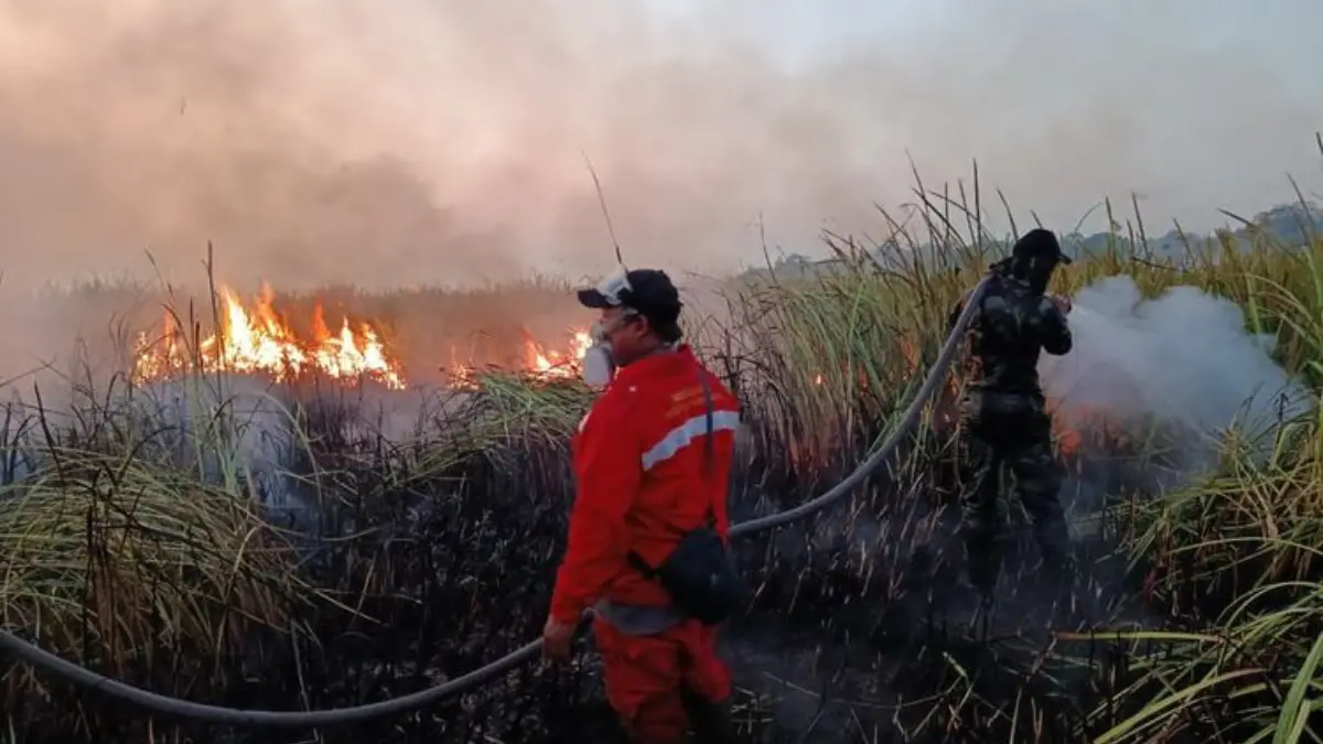 Pemadaman Api di Area Taman Nasional Way Kambas. (Foto: kehutanan.go.id)